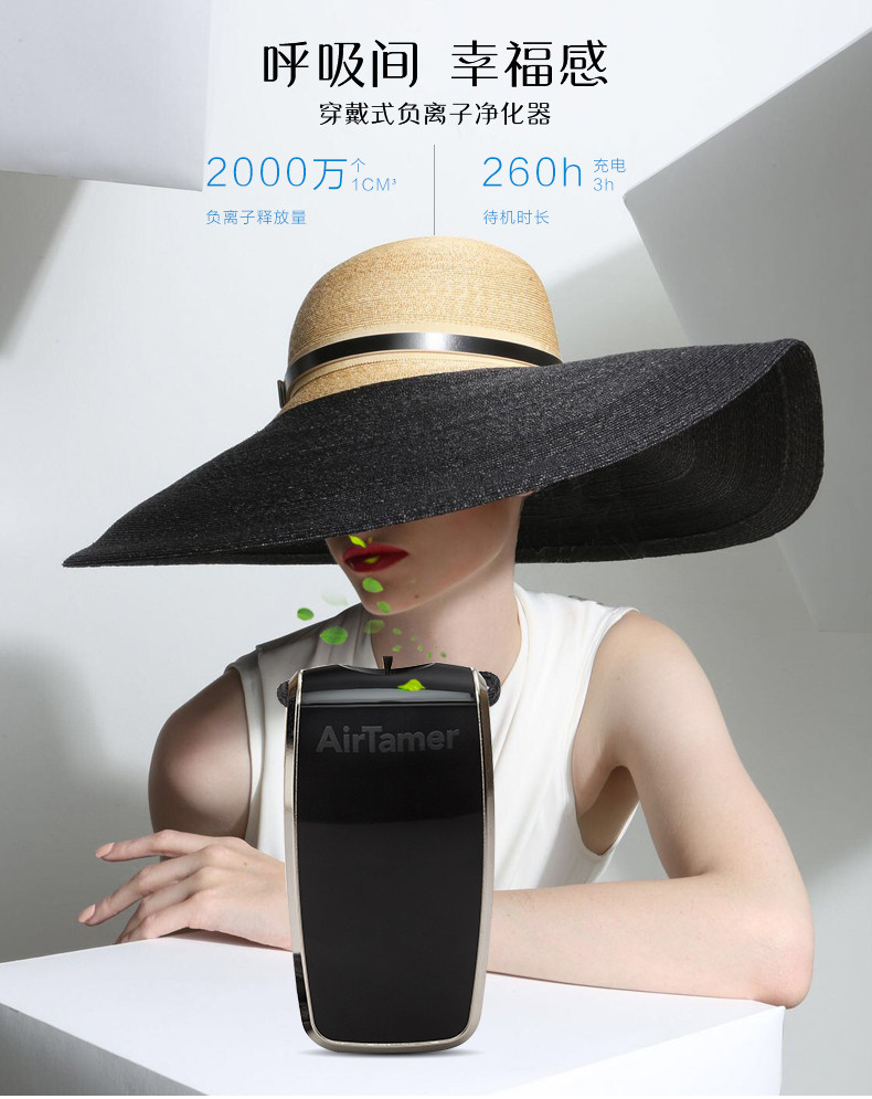 airtamer 320,airtamer a320,爱塔梅尔 A320,爱塔梅尔 320