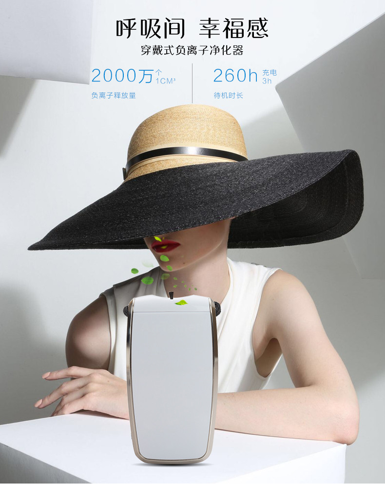 airtamer 320,airtamer a320,爱塔梅尔 A320,爱塔梅尔 320,爱塔梅尔,airtamer